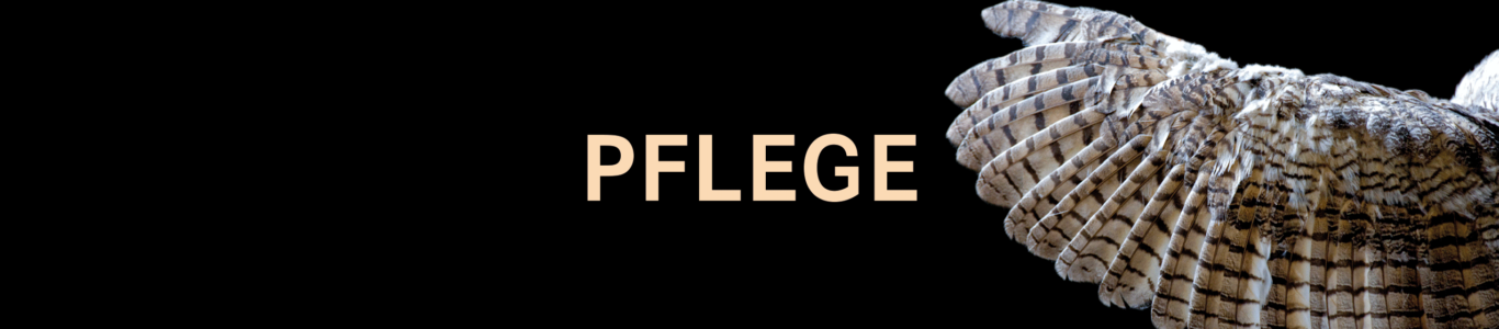 CUR_Header_Pflege_20220316